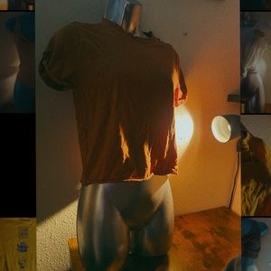 Burnt sienna “Wild Fable”  top in size XXS.